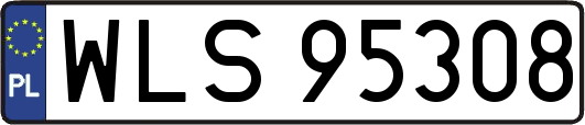 WLS95308