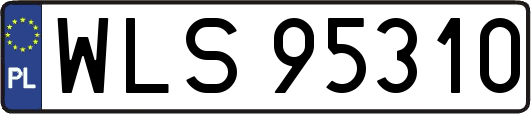 WLS95310