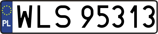 WLS95313