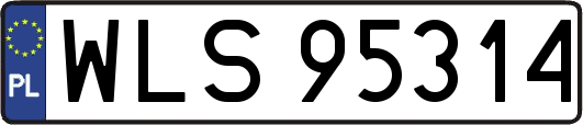 WLS95314