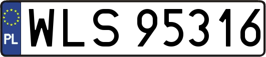 WLS95316