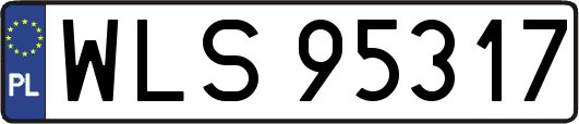 WLS95317