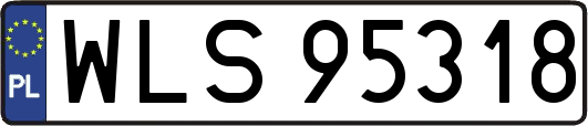 WLS95318
