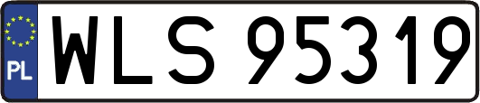 WLS95319