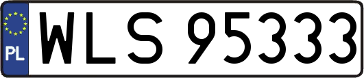 WLS95333
