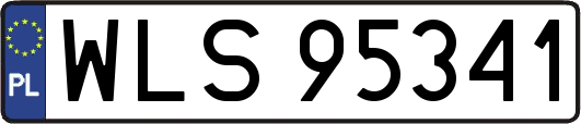 WLS95341