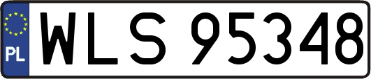 WLS95348