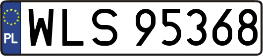 WLS95368