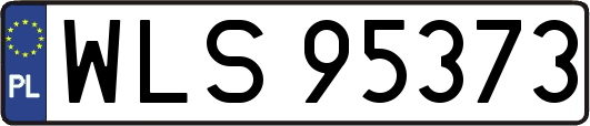 WLS95373