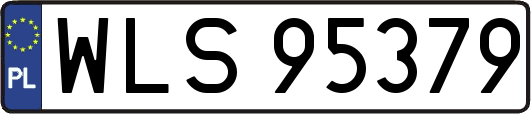 WLS95379