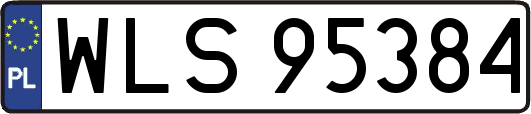 WLS95384