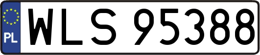 WLS95388