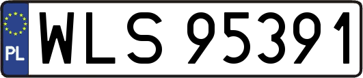 WLS95391