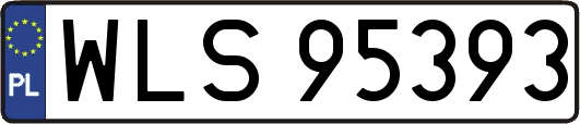 WLS95393