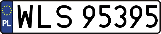 WLS95395
