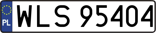 WLS95404