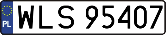 WLS95407
