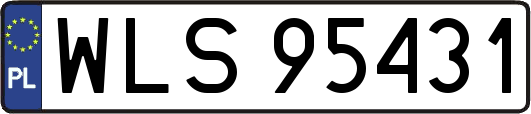 WLS95431
