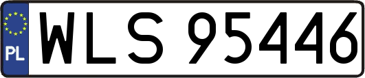 WLS95446