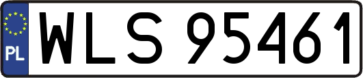 WLS95461