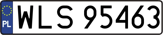 WLS95463