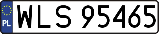 WLS95465