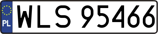 WLS95466