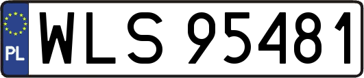 WLS95481