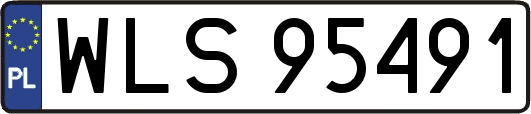 WLS95491