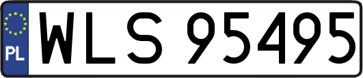 WLS95495