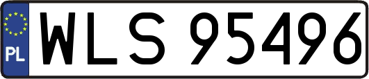 WLS95496