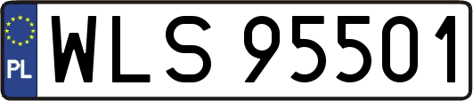 WLS95501