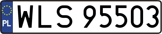 WLS95503