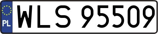 WLS95509