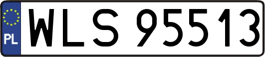 WLS95513