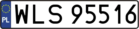 WLS95516