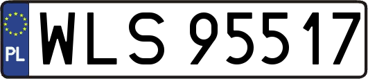 WLS95517