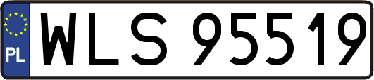 WLS95519