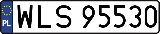 WLS95530