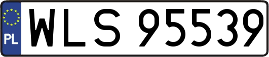 WLS95539