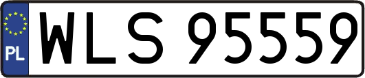 WLS95559