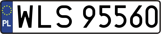 WLS95560