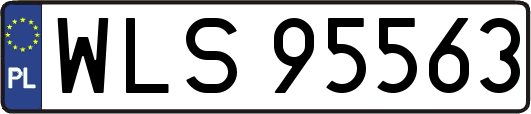 WLS95563