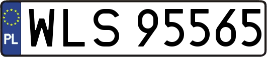 WLS95565