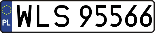 WLS95566
