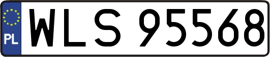 WLS95568