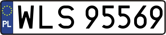 WLS95569