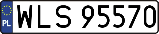 WLS95570