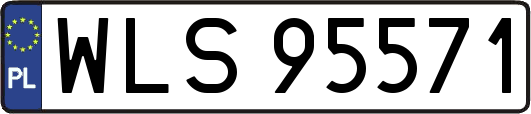 WLS95571