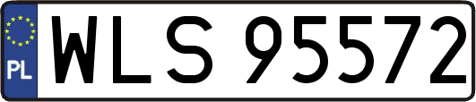 WLS95572